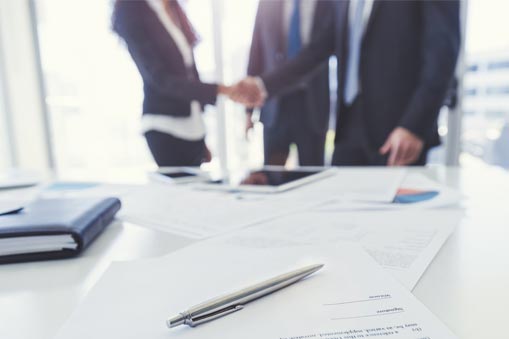 Professional meeting shaking hands